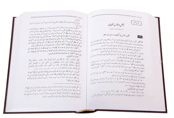Minhaj ul Muslim - Local - Image 2