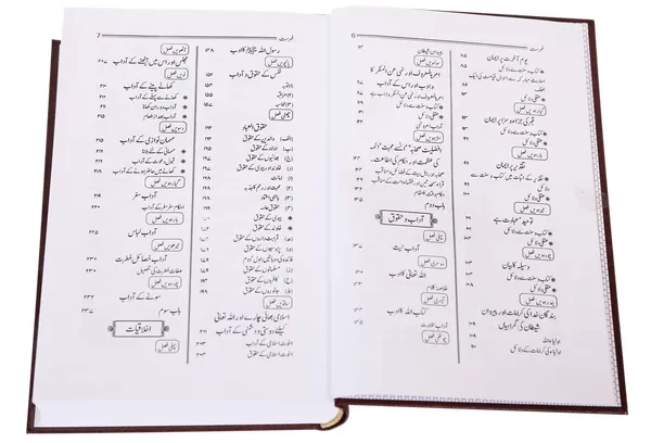 Minhaj ul Muslim - Local - Image 3