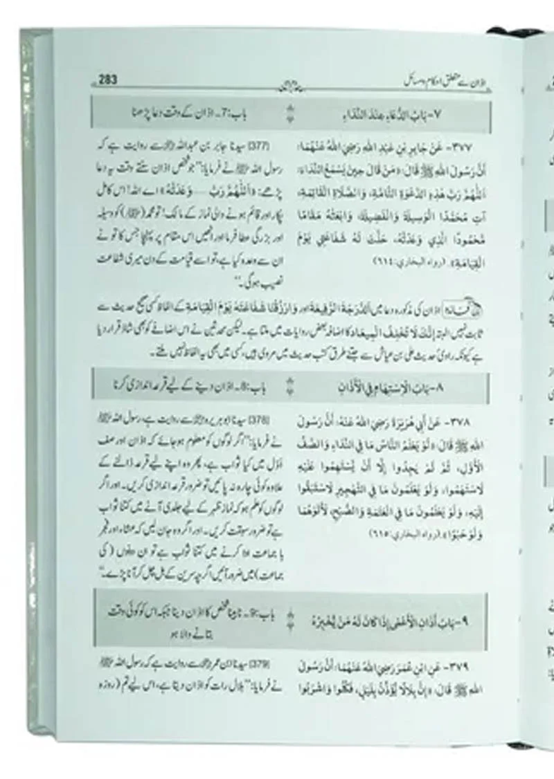 Mukhtasar Sahih Bukhari (2 vols) - Image 4