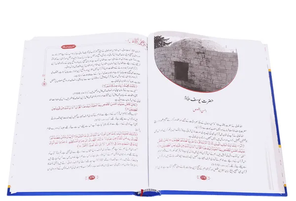 Qasas Ul Ambiya (New Edition) - Image 2