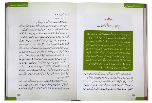Sahaba Karam Kay Muntakhab Sunahray Waqayat - Image 3